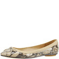Ballerinas Buffalo